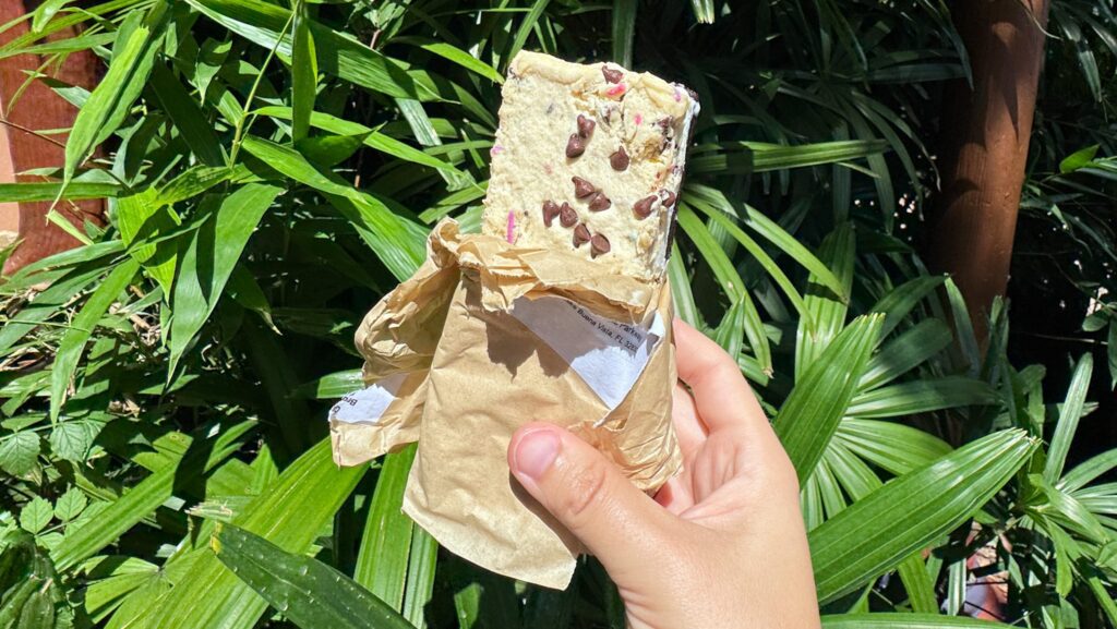 Cookie Dough Brownie Ice Cream Sandwich from Animal Kingdom