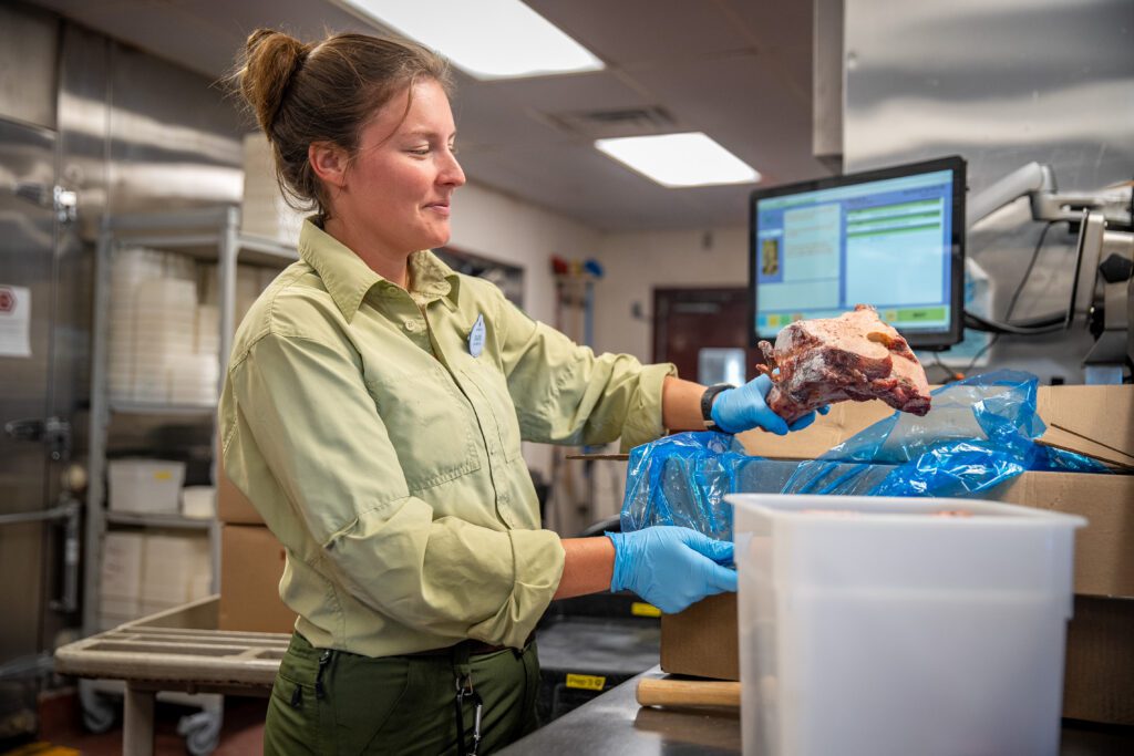 A Cast Member prepares food at the Animal Nutrition Center at Disney's Animal Kingdom