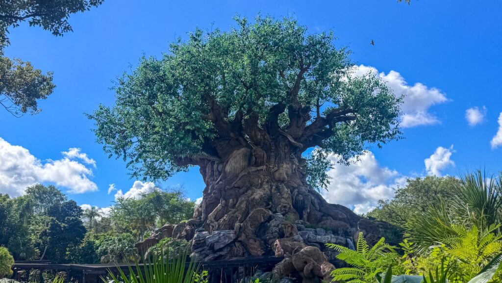 Tree of Life in Disney's Animal Kingdom